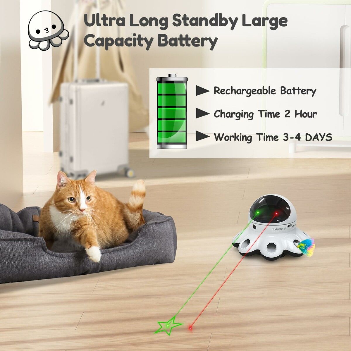 https://img.crazysales.com.au/products_pictures/362/362165_3227641_F.jpg