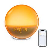 Radio Alarm Clock, Nature for WAKE Up Light Alarm Clock With Sunrise or Sunset Alarms FM Radio Night Light For Home, Bedroom Decor