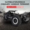 1:16 Remote Control Car,2.4Ghz RC Stunt Car,2WD 20KM/H Off-Road Vehicle,RC Buggy,Gift for Kids Color Blue