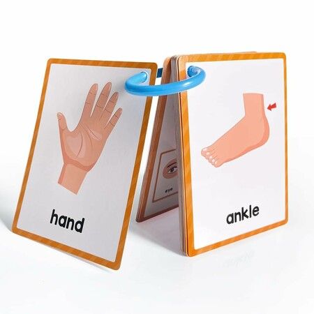 https://img.crazysales.com.au/products_pictures/362/362655_3233121_F.jpg