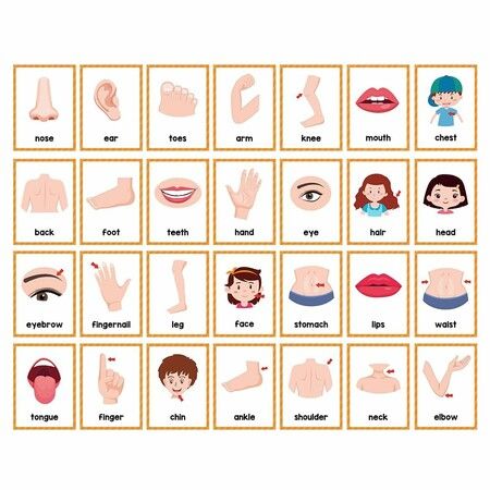 https://img.crazysales.com.au/products_pictures/362/362655_3233125_F.jpg