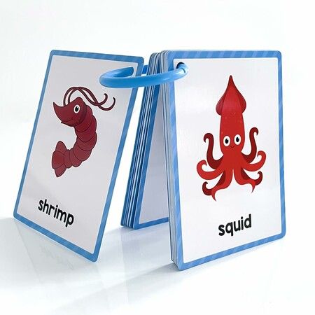 https://img.crazysales.com.au/products_pictures/362/362656_3233131_F.jpg