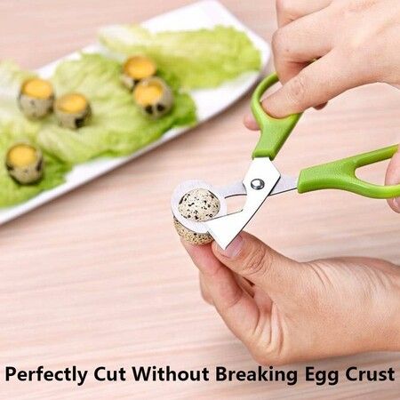 https://img.crazysales.com.au/products_pictures/362/362684_3233421_F.jpg