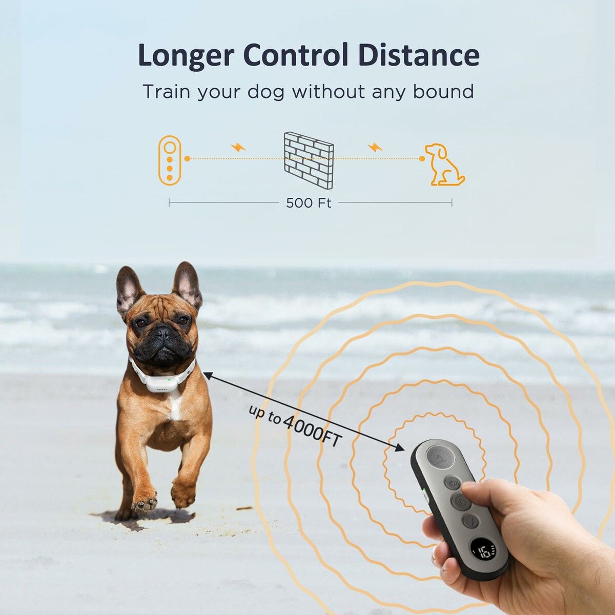 https://img.crazysales.com.au/products_pictures/362/362766_3234260_F.jpg