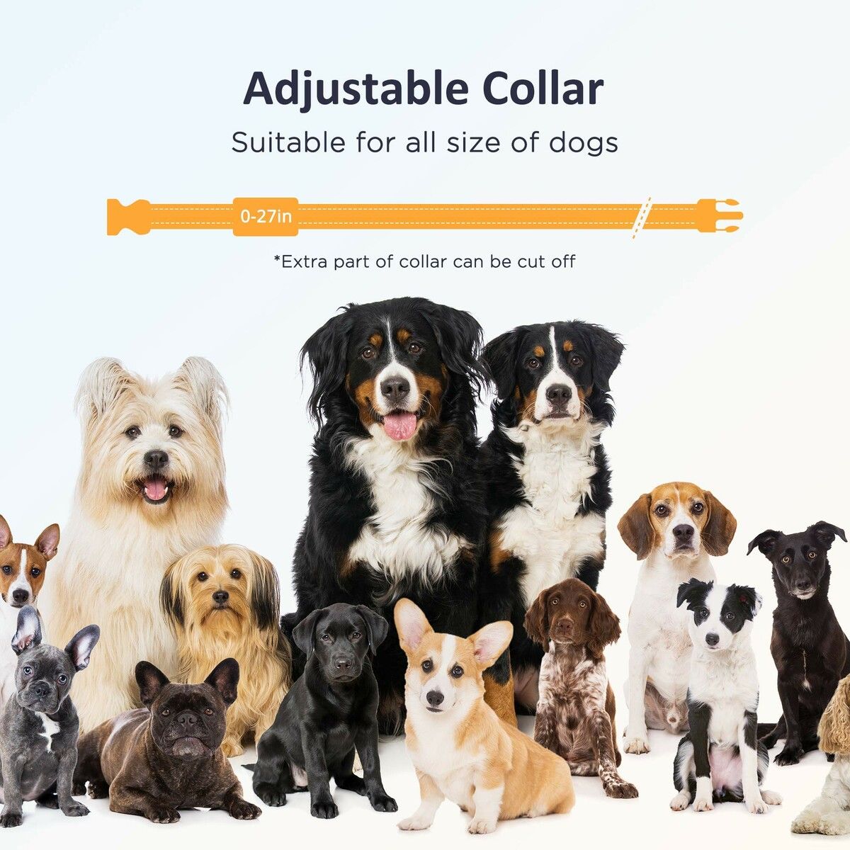 https://img.crazysales.com.au/products_pictures/362/362766_3234261_F.jpg