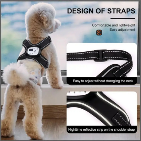 https://img.crazysales.com.au/products_pictures/362/362790_3234507_F.png