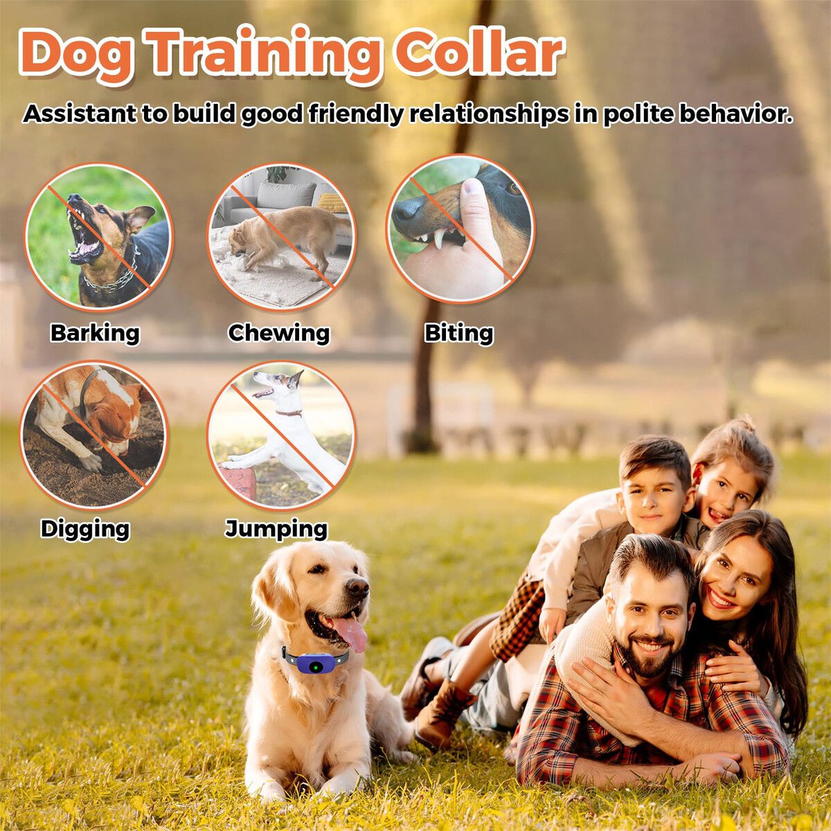 https://img.crazysales.com.au/products_pictures/362/362793_3234534_F.jpg