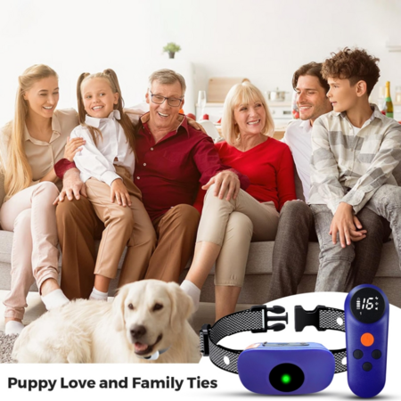 https://img.crazysales.com.au/products_pictures/362/362793_3234539_F.png