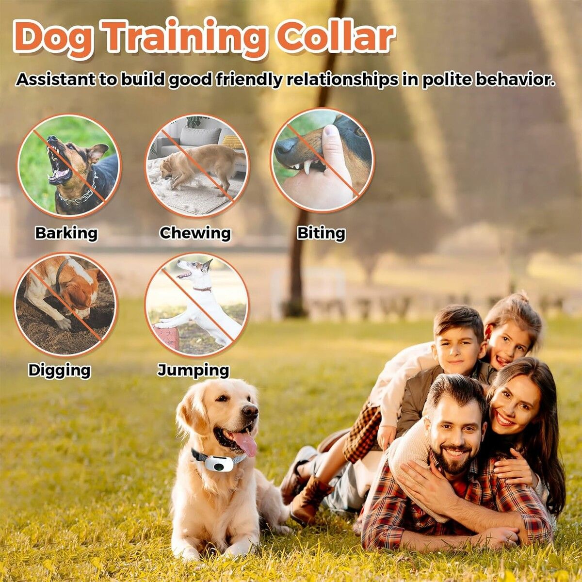 https://img.crazysales.com.au/products_pictures/362/362794_3234558_F.jpg