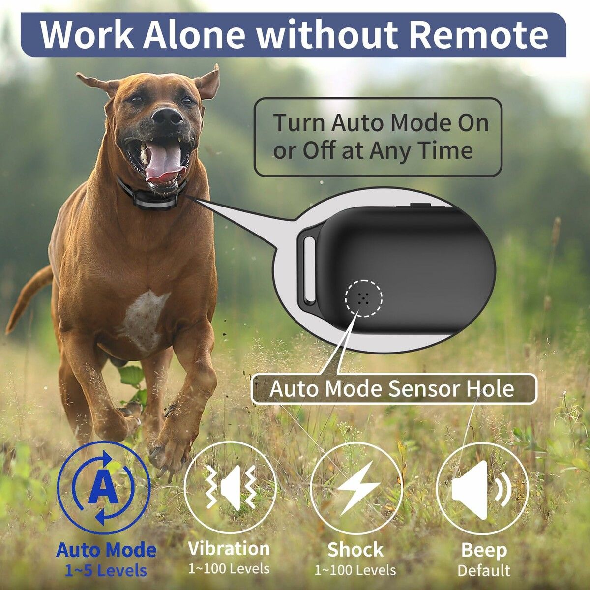 https://img.crazysales.com.au/products_pictures/362/362795_3234564_F.jpg