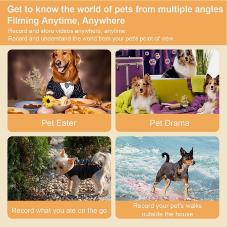 https://img.crazysales.com.au/products_pictures/362/362927_3235965_F.png