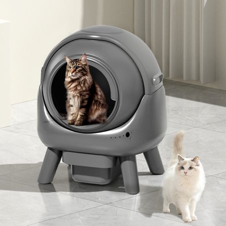 https://img.crazysales.com.au/products_pictures/3624/362452_3230484_F.jpg