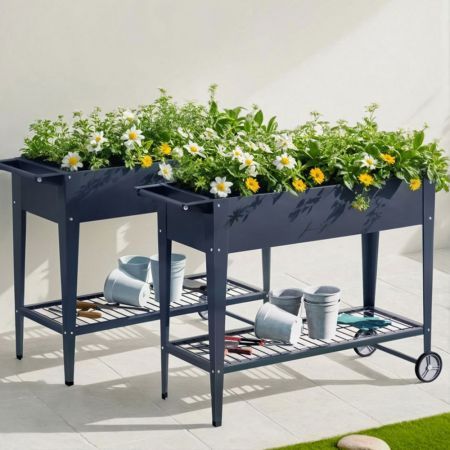 https://img.crazysales.com.au/products_pictures/3625/362569_3231207_F.jpg