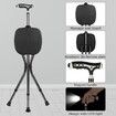 Hold 440 lbs Folding Canes with Seat Walking Stick Height Adjustment Cane Seat Capacity Frosted Handle with Light Massage Crutches Stool