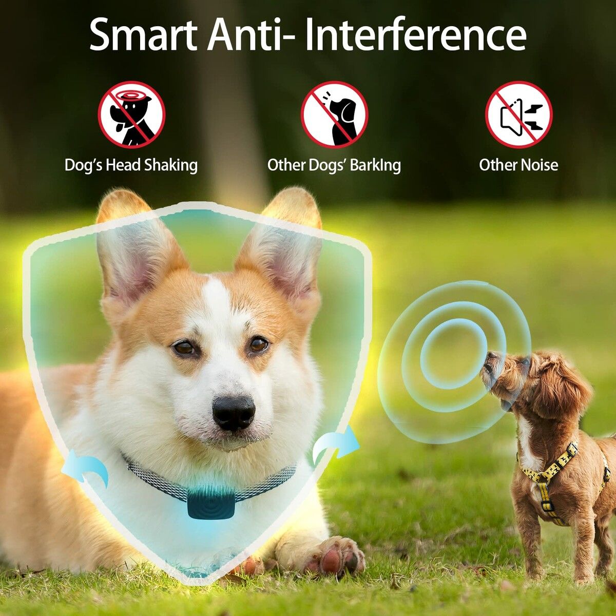 https://img.crazysales.com.au/products_pictures/363/363031_3237519_F.jpg