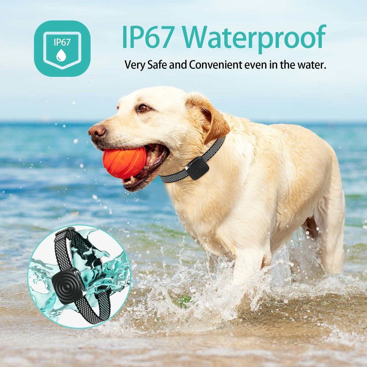 https://img.crazysales.com.au/products_pictures/363/363031_3237521_F.jpg