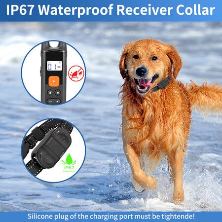 https://img.crazysales.com.au/products_pictures/363/363052_3237729_F.jpg