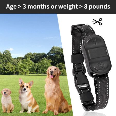 https://img.crazysales.com.au/products_pictures/363/363053_3237750_F.jpg