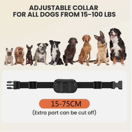 https://img.crazysales.com.au/products_pictures/363/363053_3237753_F.png