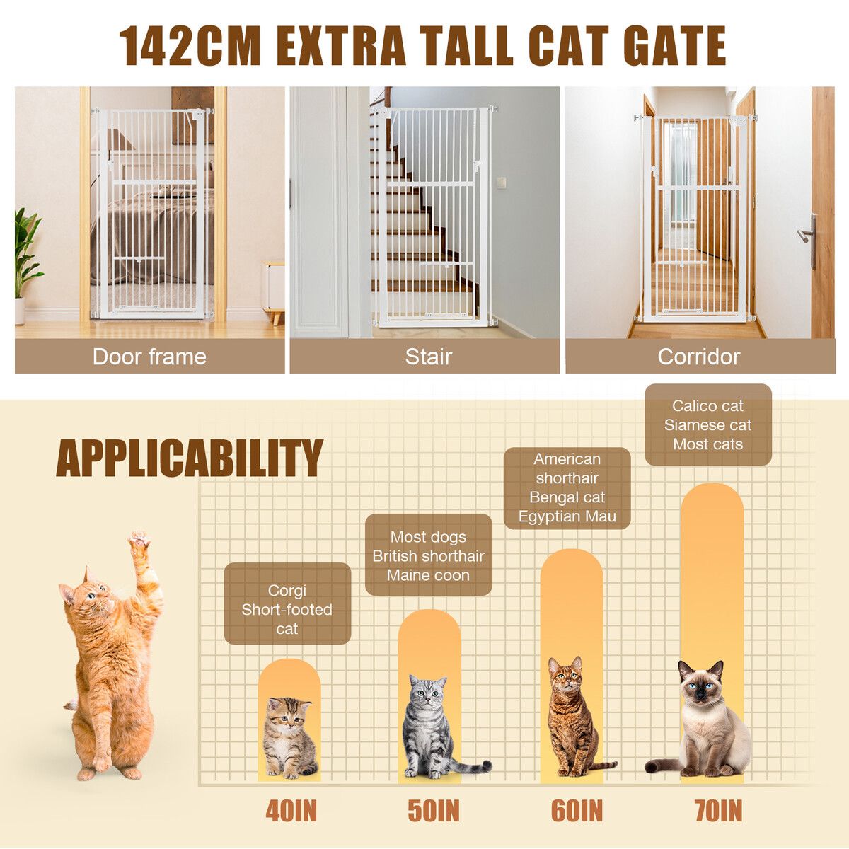 https://img.crazysales.com.au/products_pictures/363/363099_3238342_F.jpg