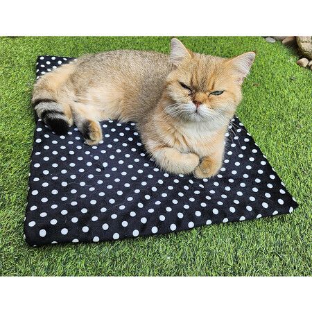 https://img.crazysales.com.au/products_pictures/363/363154_3244281_F.jpg
