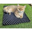 USB Heating Warmer Pad Bed for Cat, Small Dog and Pet, Safe 5V2A Power Bank Battery Operated for Indoor and Outdoor Use, 37 X 47 X 2 cm, Black