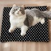 USB Heating Warmer Pad Bed for Cat, Small Dog and Pet, Safe 5V2A Power Bank Battery Operated for Indoor and Outdoor Use, 37 X 47 X 2 cm, Black