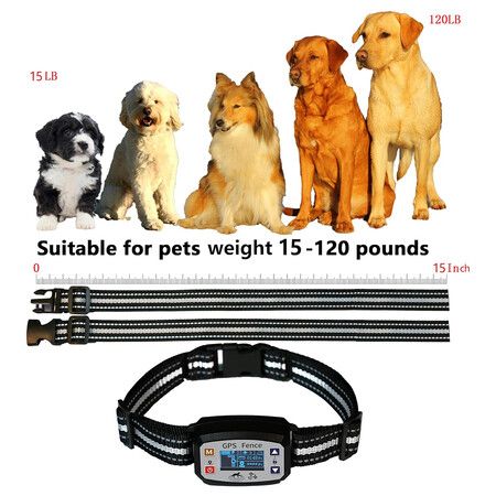 https://img.crazysales.com.au/products_pictures/363/363230_3245806_F.jpg