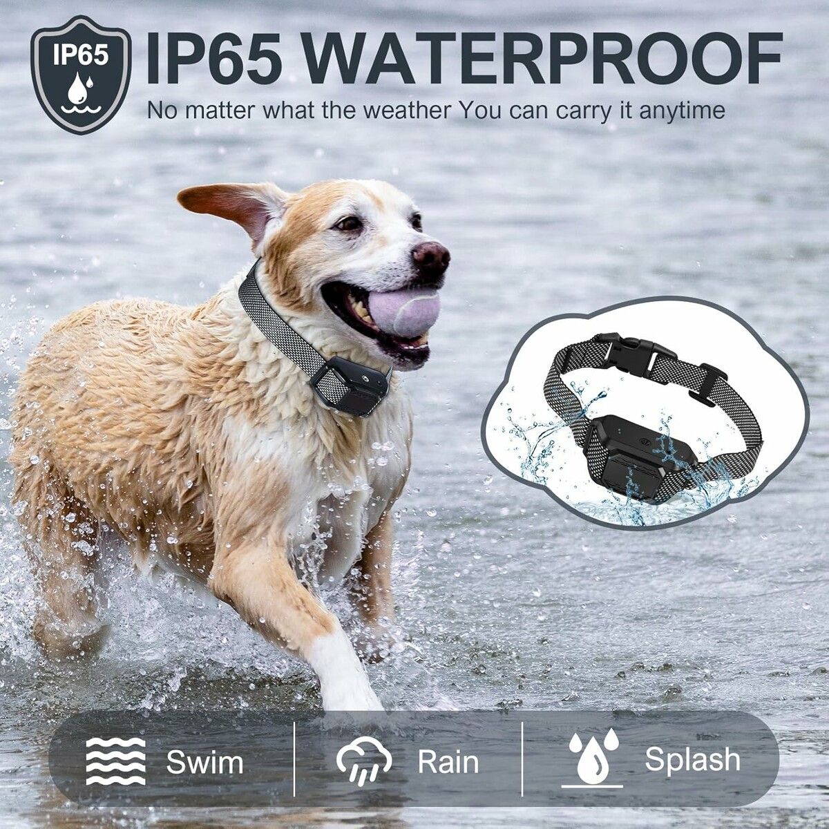 https://img.crazysales.com.au/products_pictures/363/363231_3245802_F.jpg