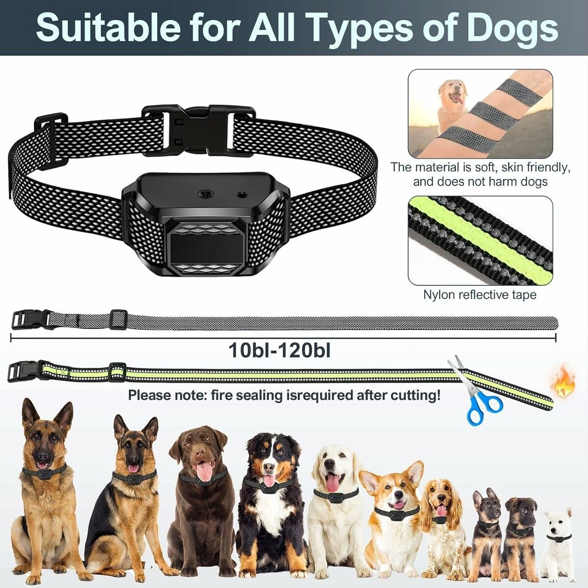 https://img.crazysales.com.au/products_pictures/363/363231_3245804_F.jpg