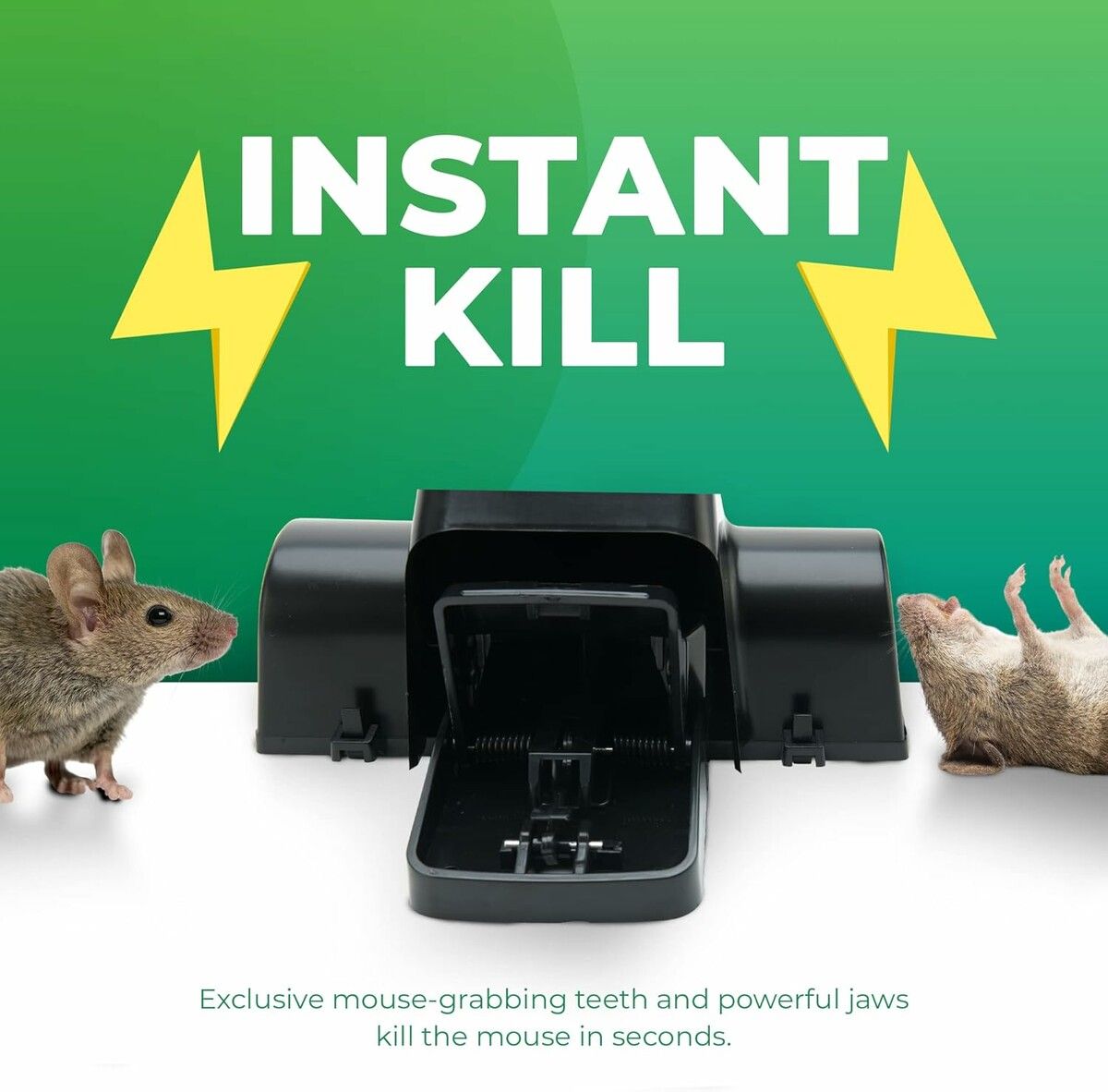https://img.crazysales.com.au/products_pictures/363/363259_3246142_F.jpg