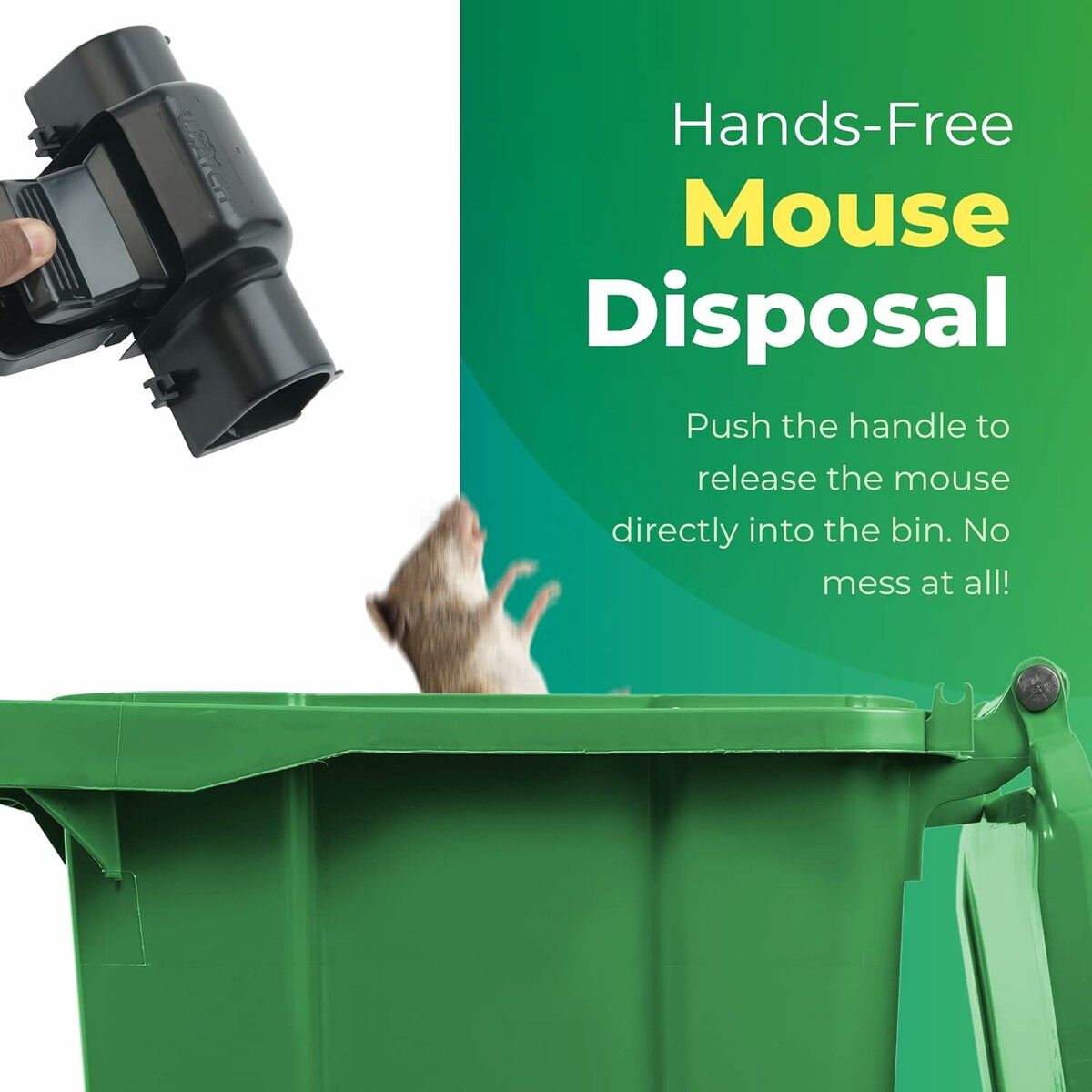 https://img.crazysales.com.au/products_pictures/363/363259_3246145_F.jpg