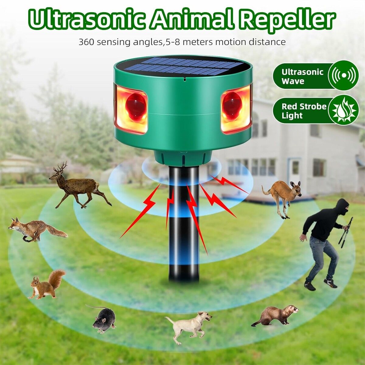 https://img.crazysales.com.au/products_pictures/363/363262_3246163_F.jpg