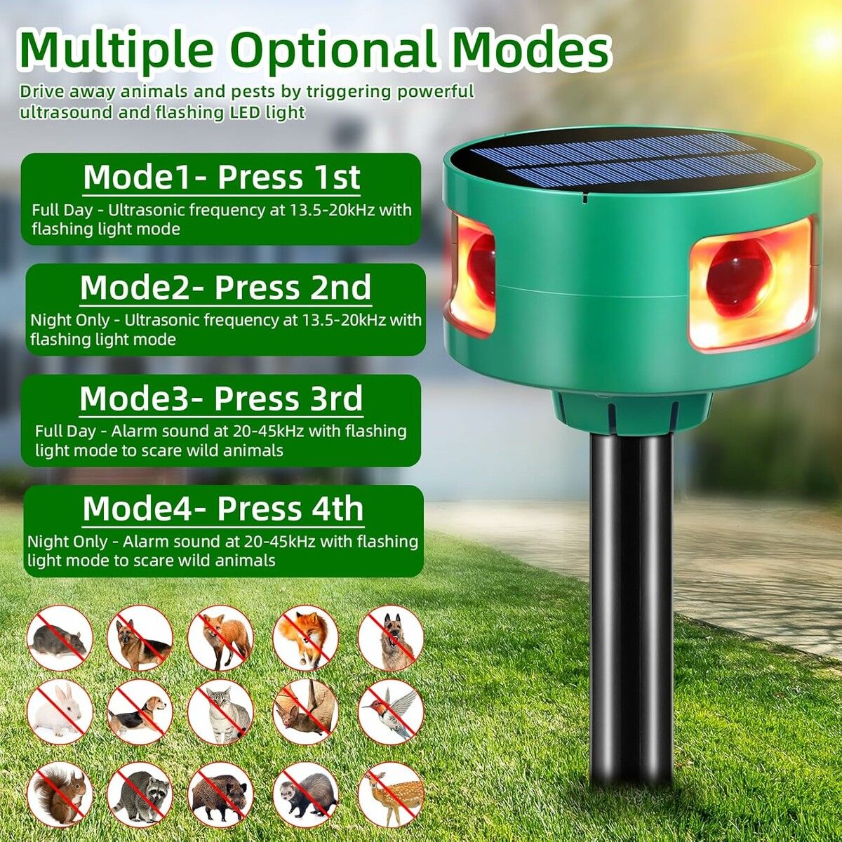 https://img.crazysales.com.au/products_pictures/363/363262_3246165_F.jpg