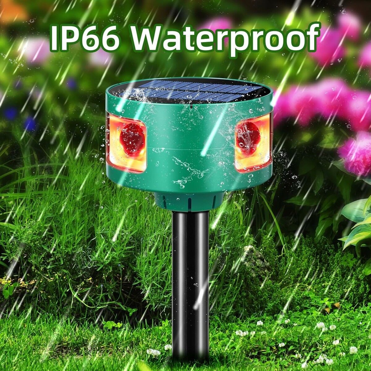 https://img.crazysales.com.au/products_pictures/363/363262_3246167_F.jpg