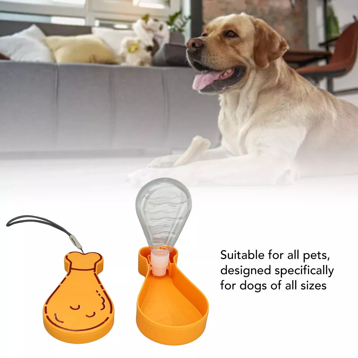 https://img.crazysales.com.au/products_pictures/363/363276_3246310_F.jpg