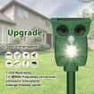 Solar Animal Repellent Ultrasonic,Rat Repeller,Bird Repeller,Cat,Rat,Dog,Bird,Fox,Etc,Outdoor Animal Repeller With Flashing Led Light