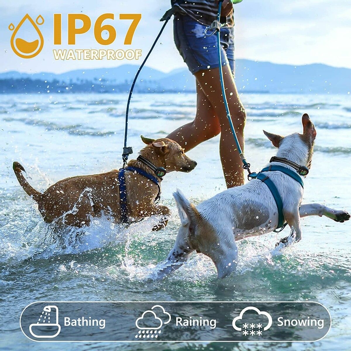 https://img.crazysales.com.au/products_pictures/363/363443_3249142_F.jpg