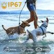 Anti Barking Collar with 3 Training Modes, Dog Bark Collar for Small and Medium Dogs, 8 Sensitivities, IP67 Level Waterproof