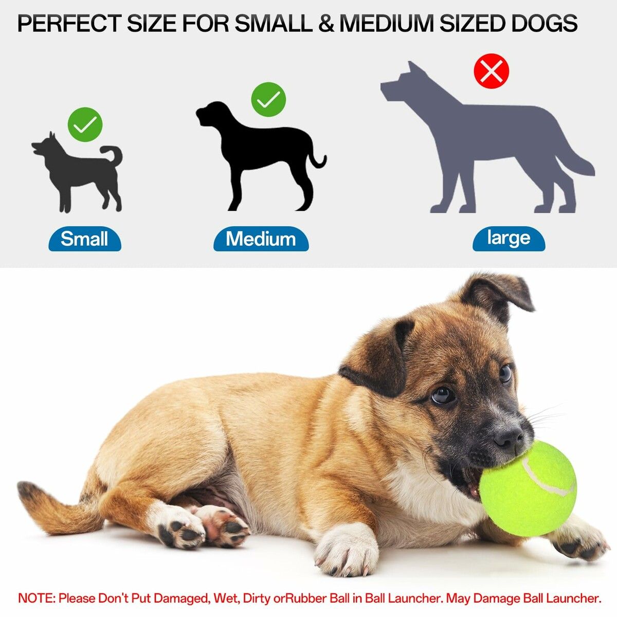 https://img.crazysales.com.au/products_pictures/363/363487_3249685_F.jpg