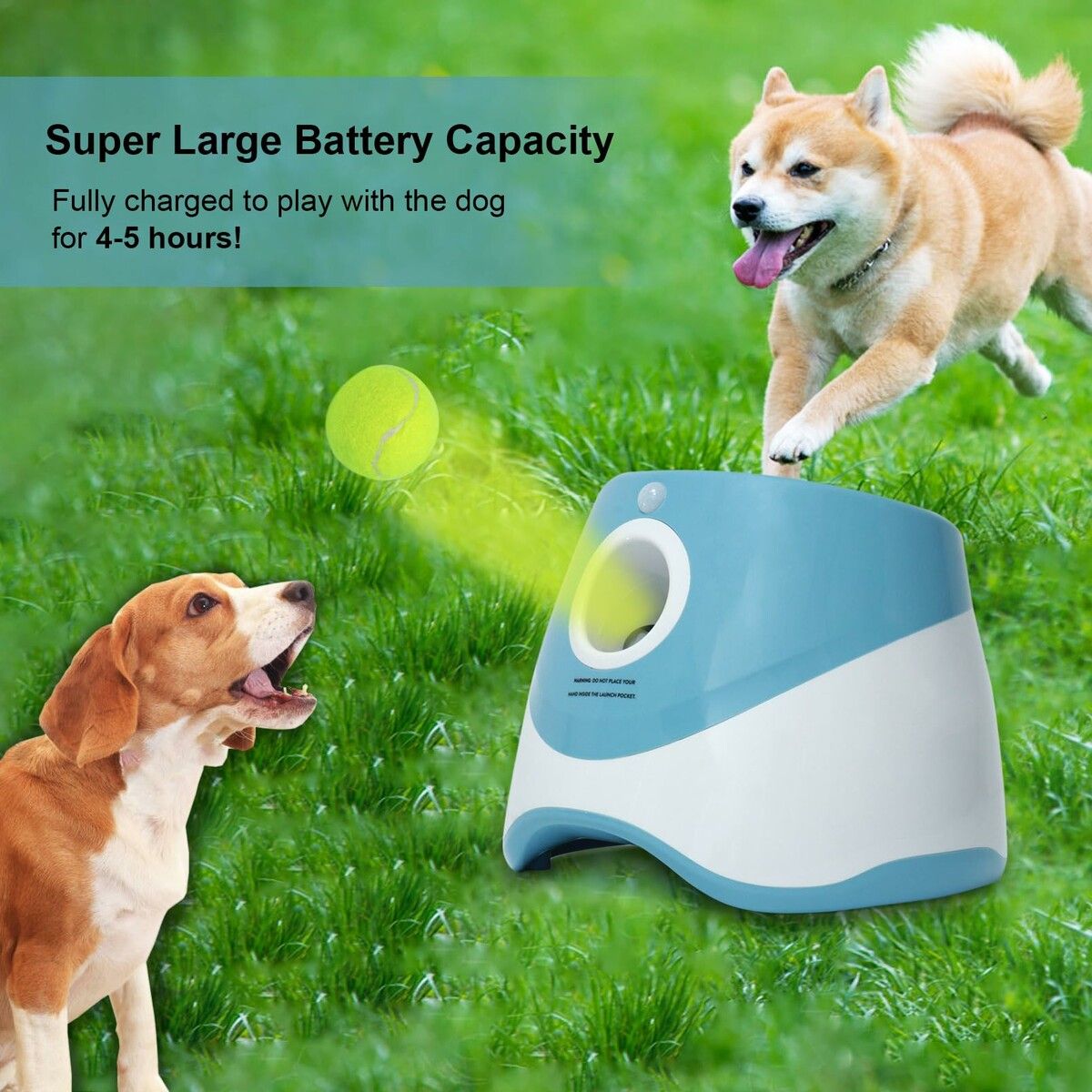 https://img.crazysales.com.au/products_pictures/363/363490_3249708_F.jpg