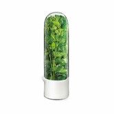 Cilantro Container for Fridge,Herb Saver,Herb Keeper for Cilantro,Basil,Asparagus,Parsley,Keeps Greens Vegetables for 2-3 Weeks (1PCS)
