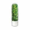 Cilantro Container for Fridge,Herb Saver,Herb Keeper for Cilantro,Basil,Asparagus,Parsley,Keeps Greens Vegetables for 2-3 Weeks (1PCS)