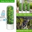 Cilantro Container for Fridge,Herb Saver,Herb Keeper for Cilantro,Basil,Asparagus,Parsley,Keeps Greens Vegetables for 2-3 Weeks (1PCS)
