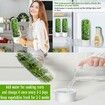 Cilantro Container for Fridge,Herb Saver,Herb Keeper for Cilantro,Basil,Asparagus,Parsley,Keeps Greens Vegetables for 2-3 Weeks (1PCS)