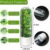 Cilantro Container for Fridge,Herb Saver,Herb Keeper for Cilantro,Basil,Asparagus,Parsley,Keeps Greens Vegetables for 2-3 Weeks (1PCS)