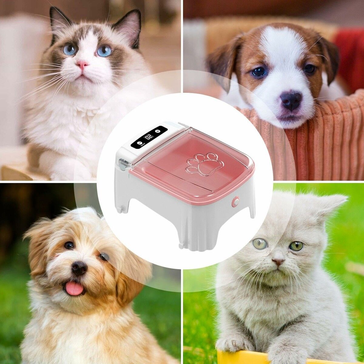 https://img.crazysales.com.au/products_pictures/363/363766_3253118_F.jpg