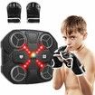 Music Boxing Machine Sport ToysWall Mounted Bluetooth Smart Punching Target Toys,Training Pad Toy with Boxing Glove,Ideas Toys for Boys Girls Kids Age3+