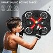 Music Boxing Machine Sport ToysWall Mounted Bluetooth Smart Punching Target Toys,Training Pad Toy with Boxing Glove,Ideas Toys for Boys Girls Kids Age3+