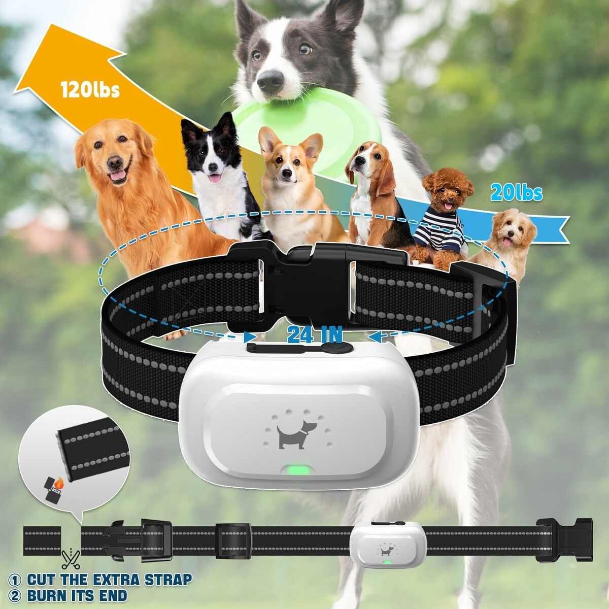 https://img.crazysales.com.au/products_pictures/364/364195_3257308_F.jpg